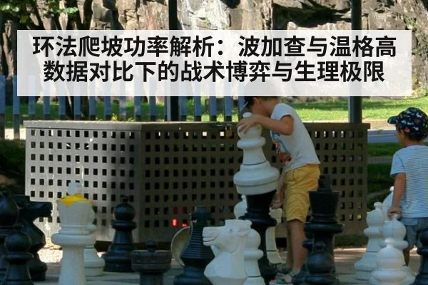 环法爬坡功率解析：波加查与温格高数据对比下的战术博弈与生理极限